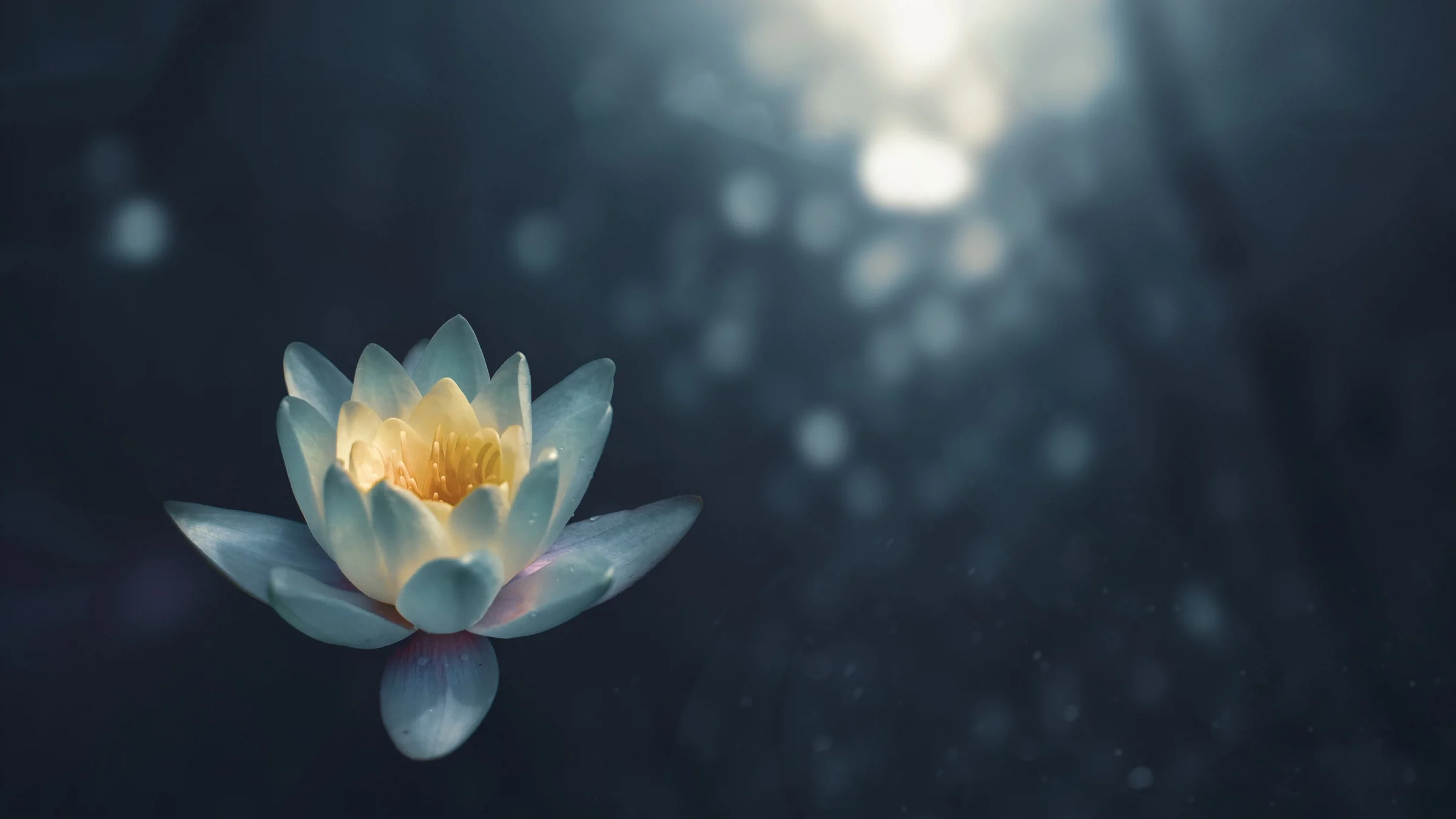 شب اکسپرسیونیسم